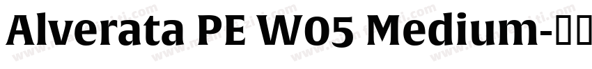 Alverata PE W05 Medium字体转换